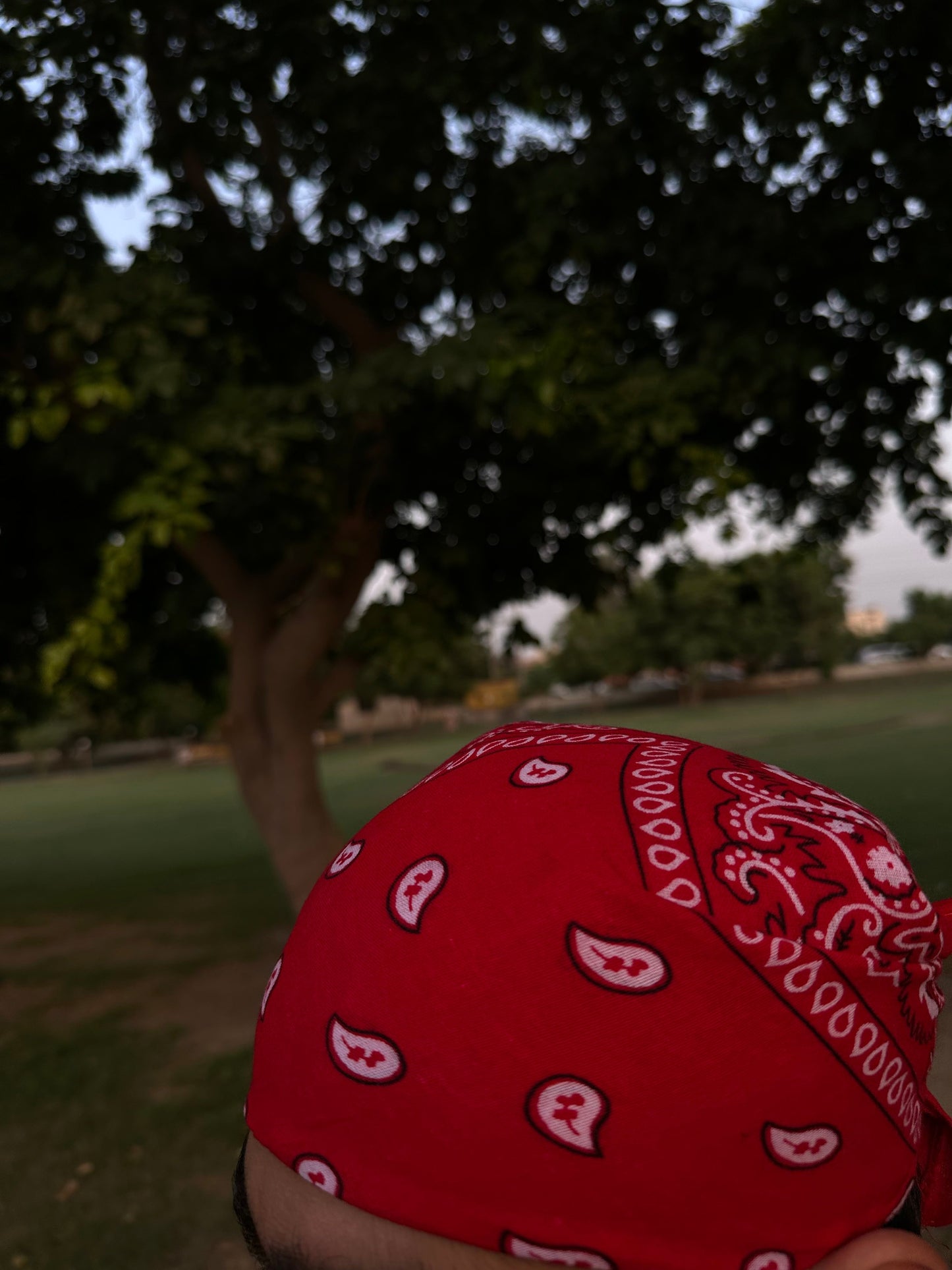 Red Bandana